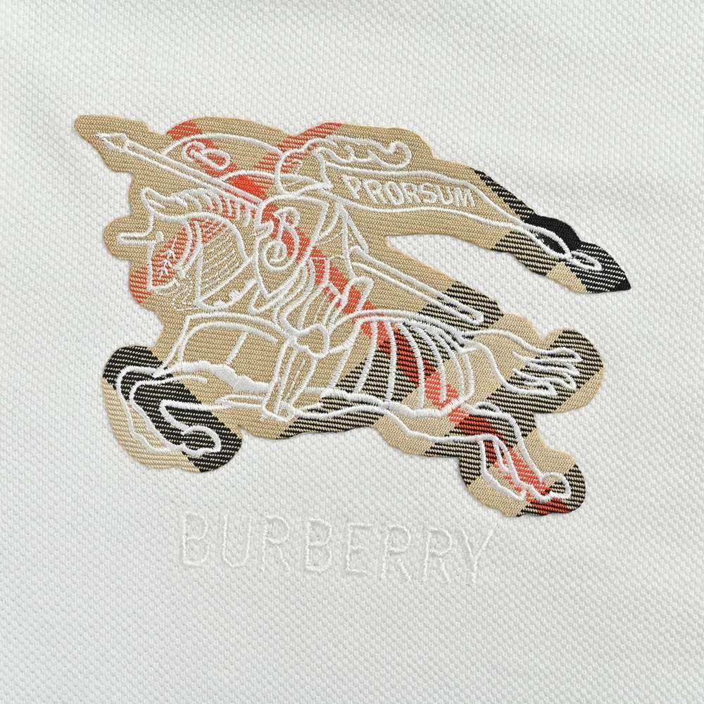 Burberry Polo(AAA)-041