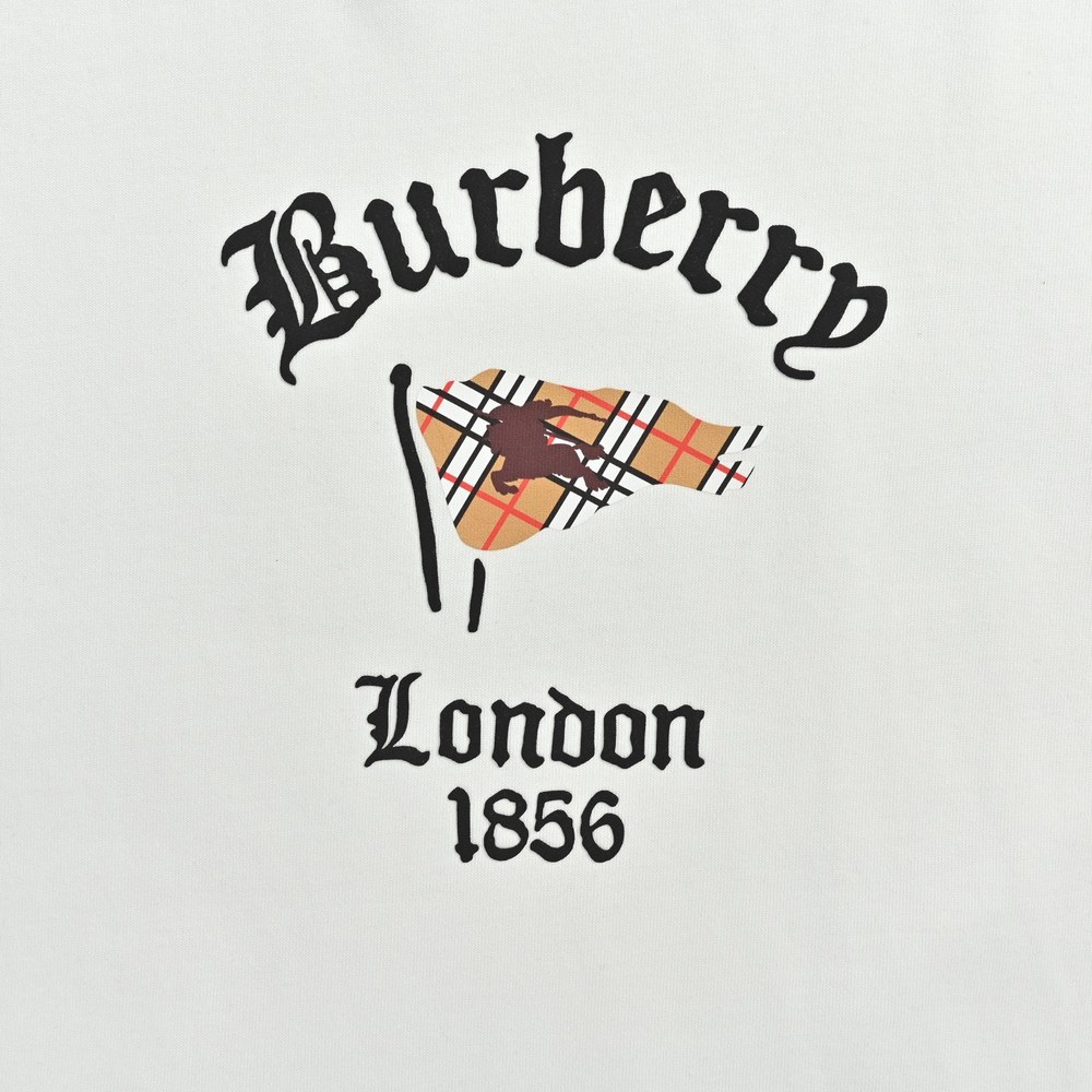 Burberry T-shirts-1142
