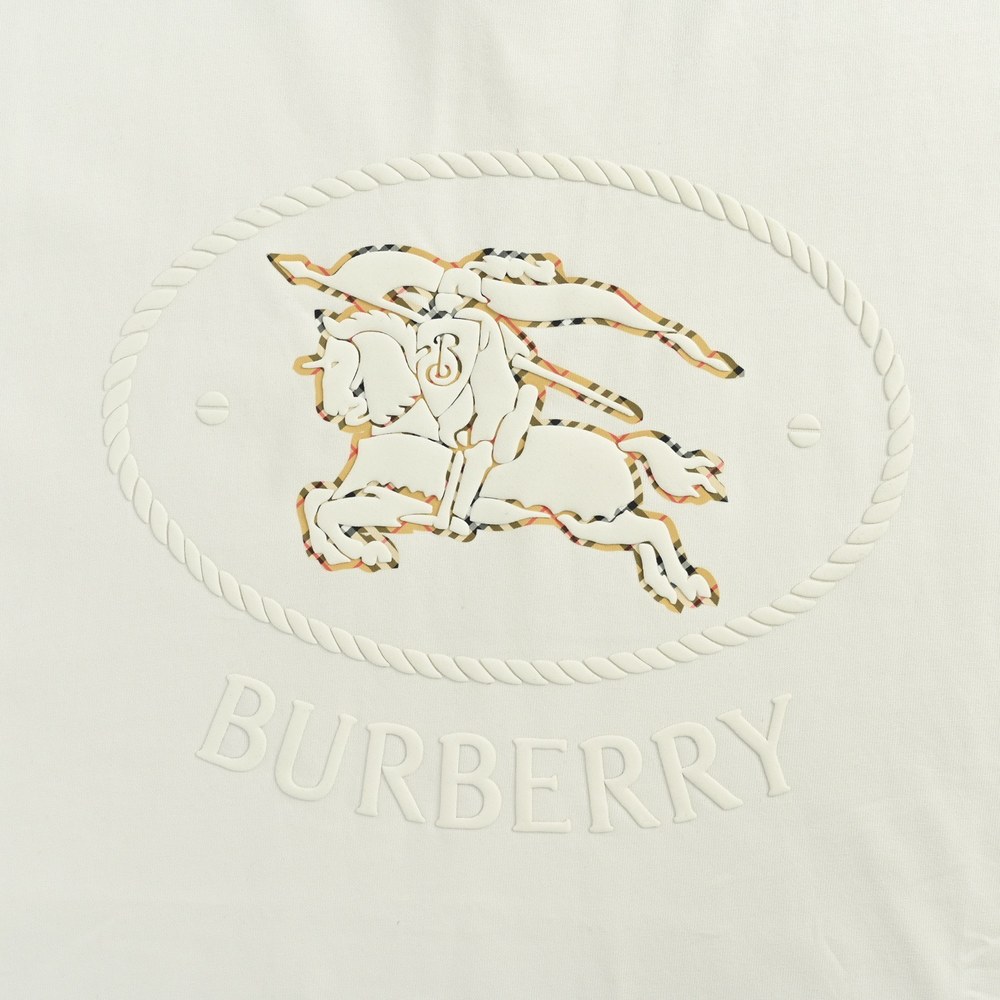 Burberry T-shirts-1060