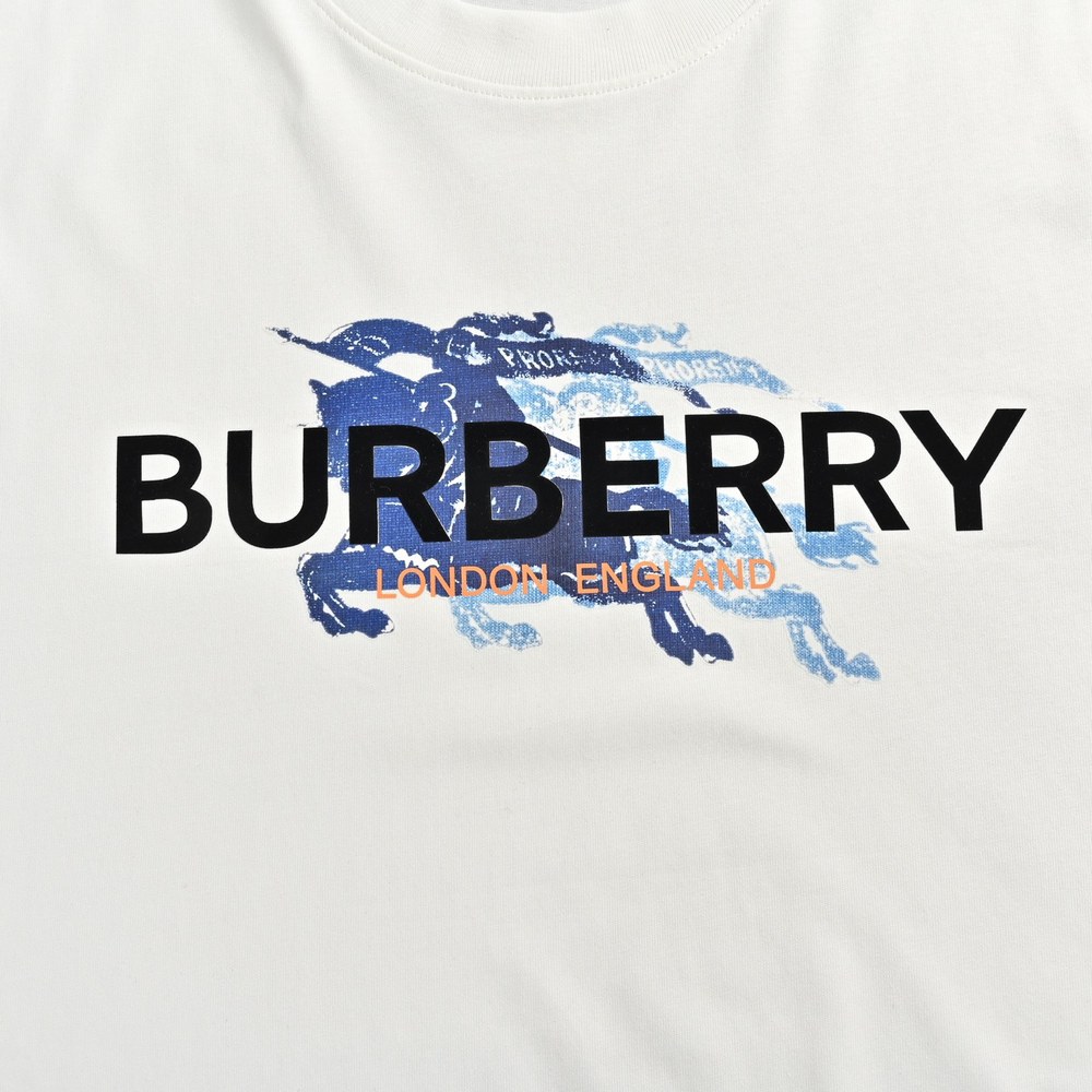 Burberry T-shirts-1063
