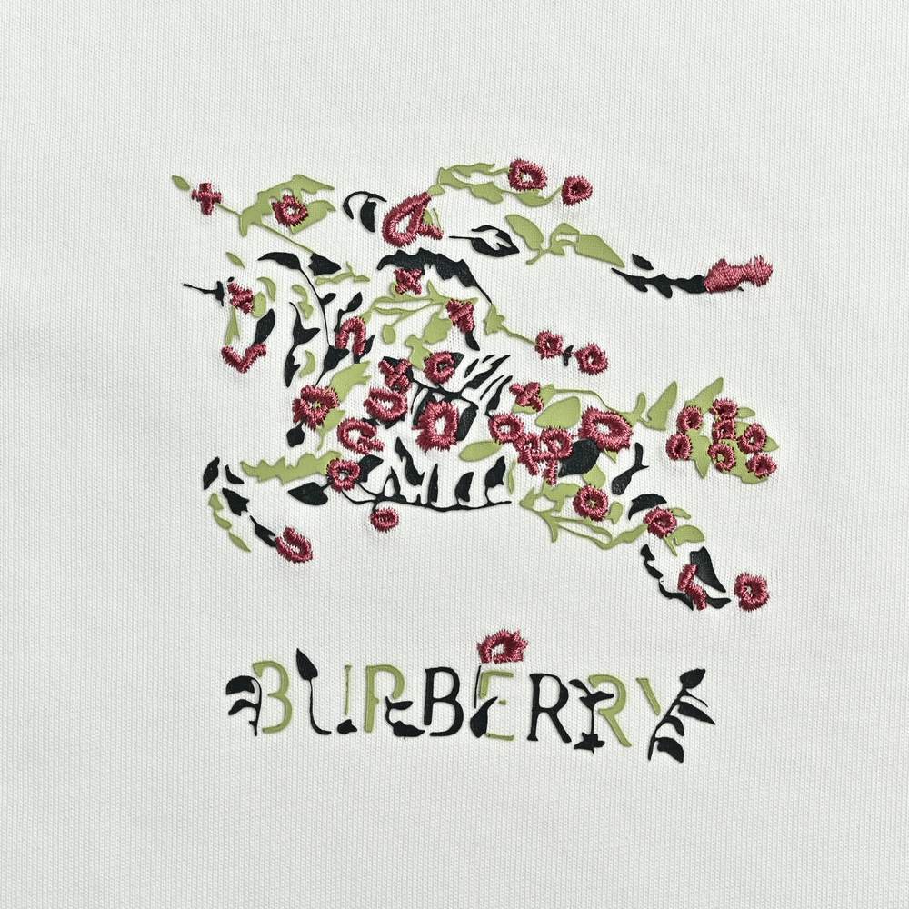 Burberry T-shirts-1266