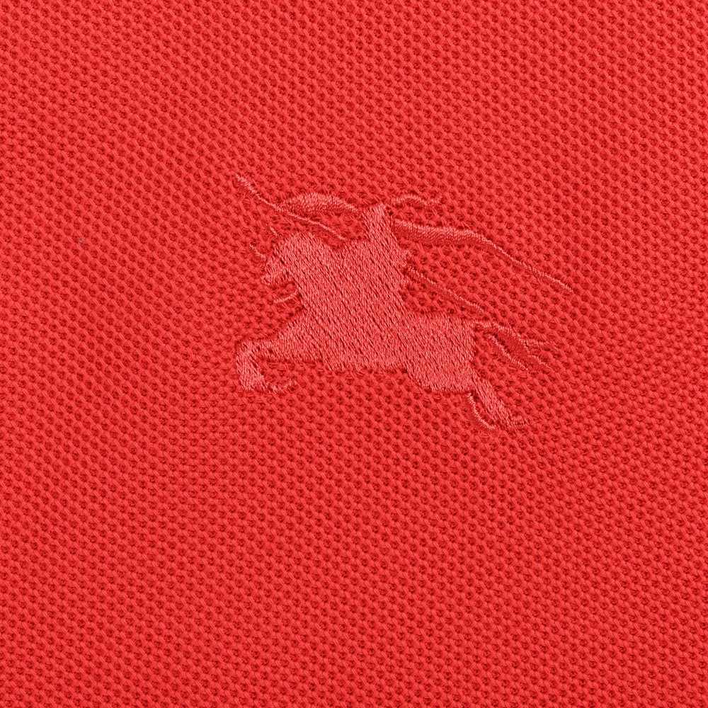 Burberry Polo(AAA)-073