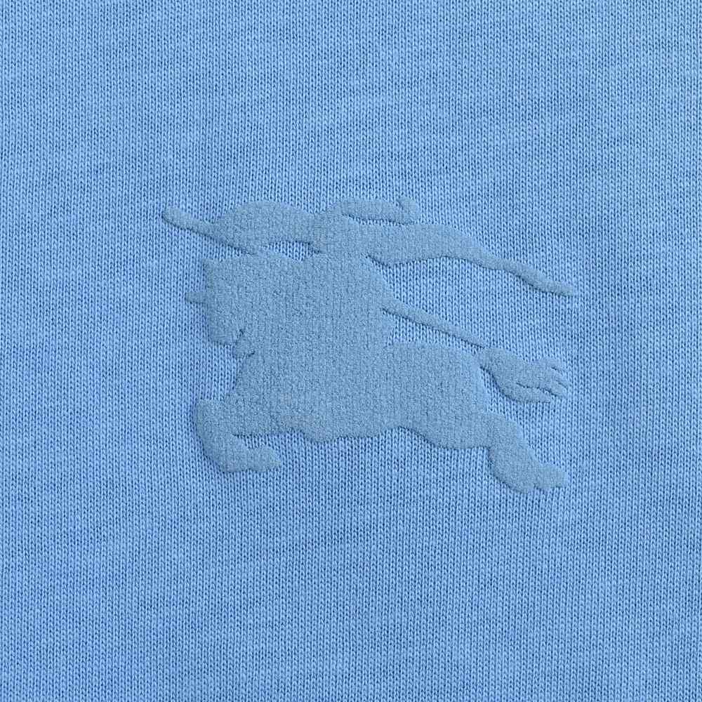 Burberry T-shirts-1058