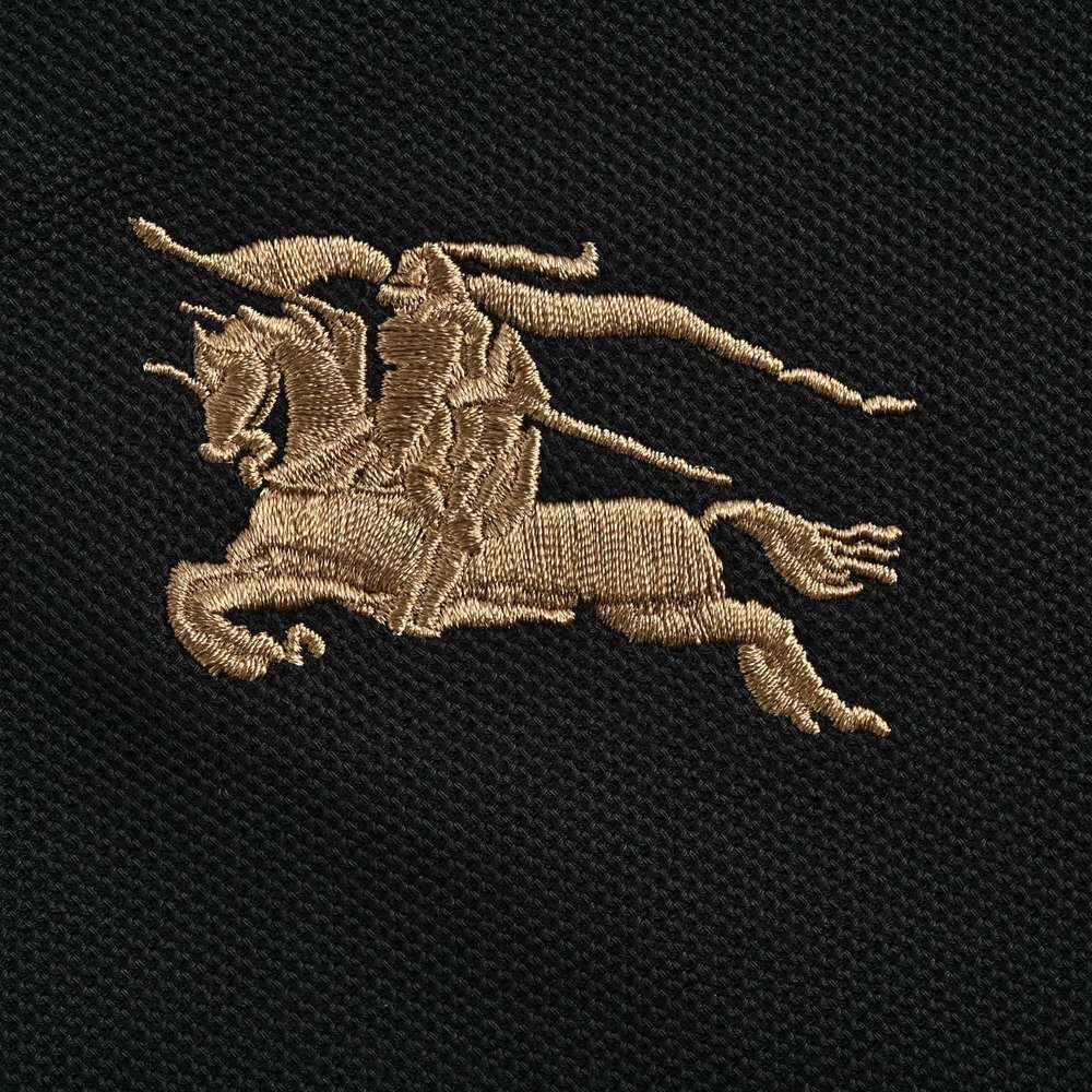 Burberry Polo(AAA)-021
