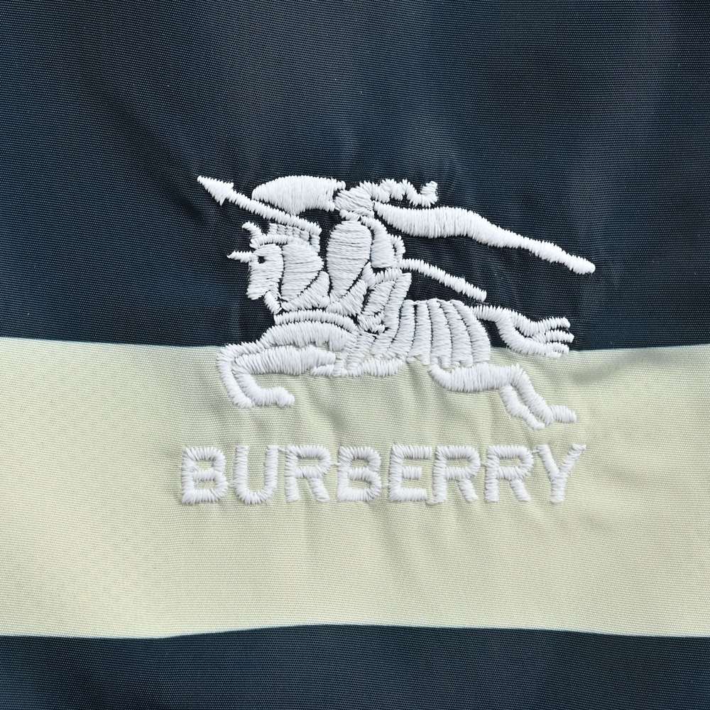 Burberry Shorts-107