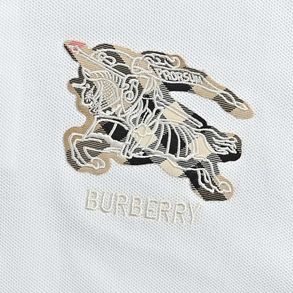 Burberry Polo(AAA)-026