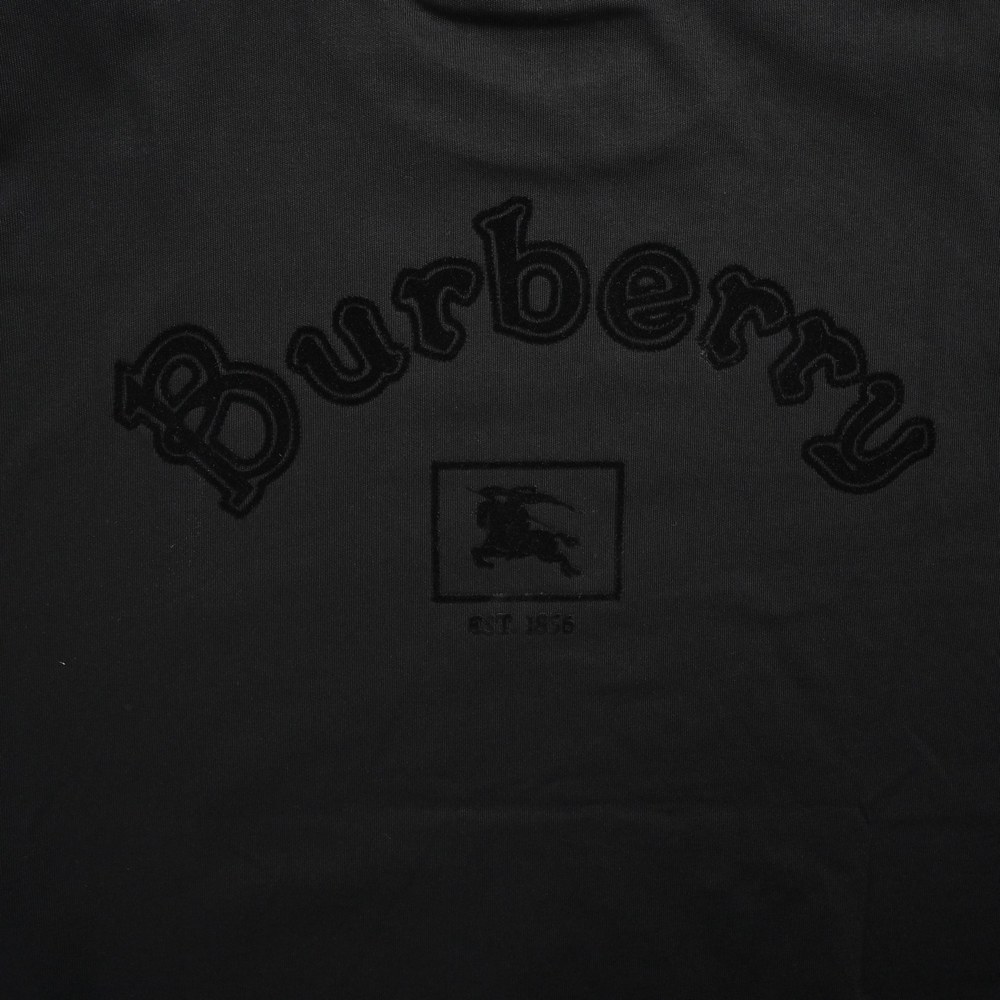 Burberry T-shirts-1111