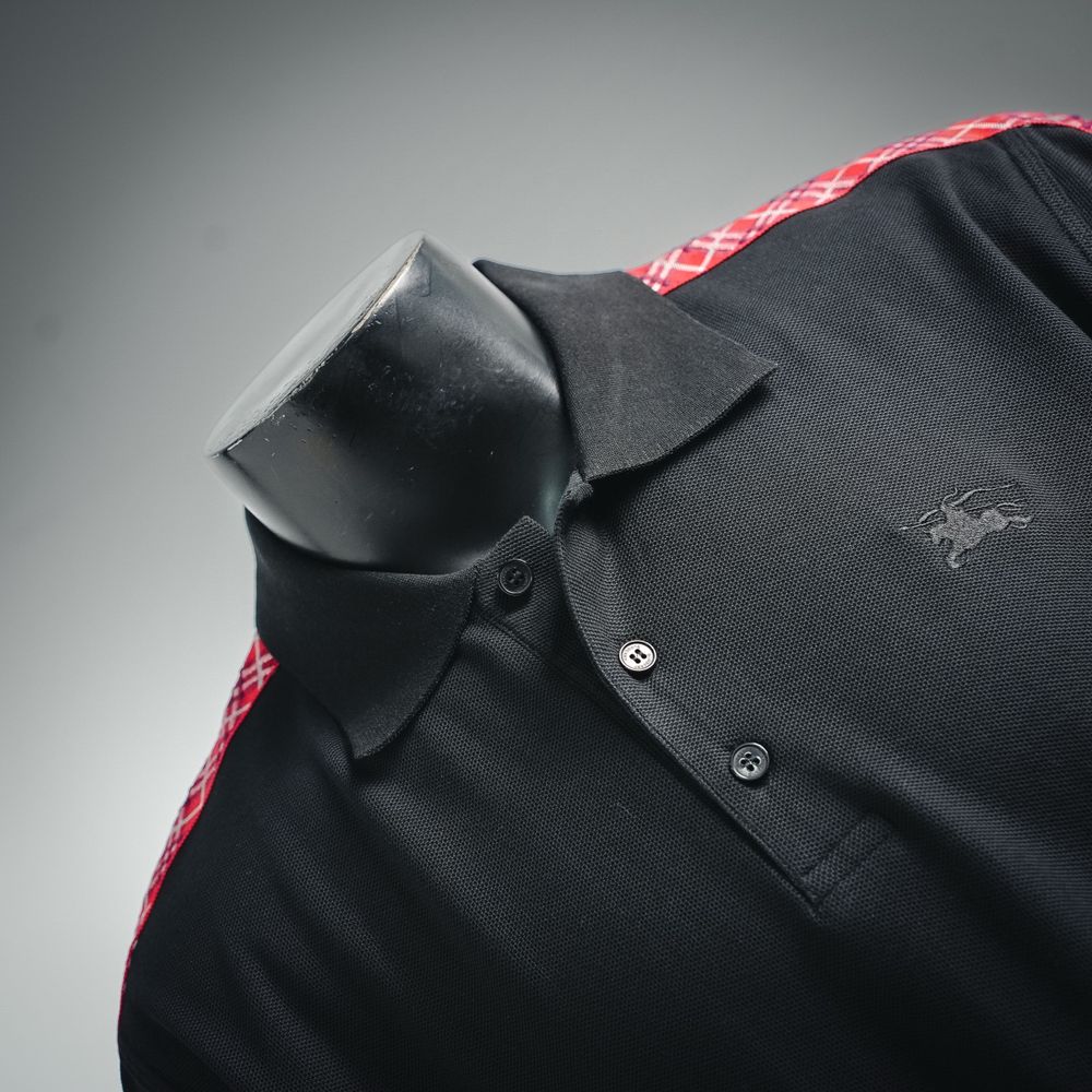 Burberry Polo(AAA)-074