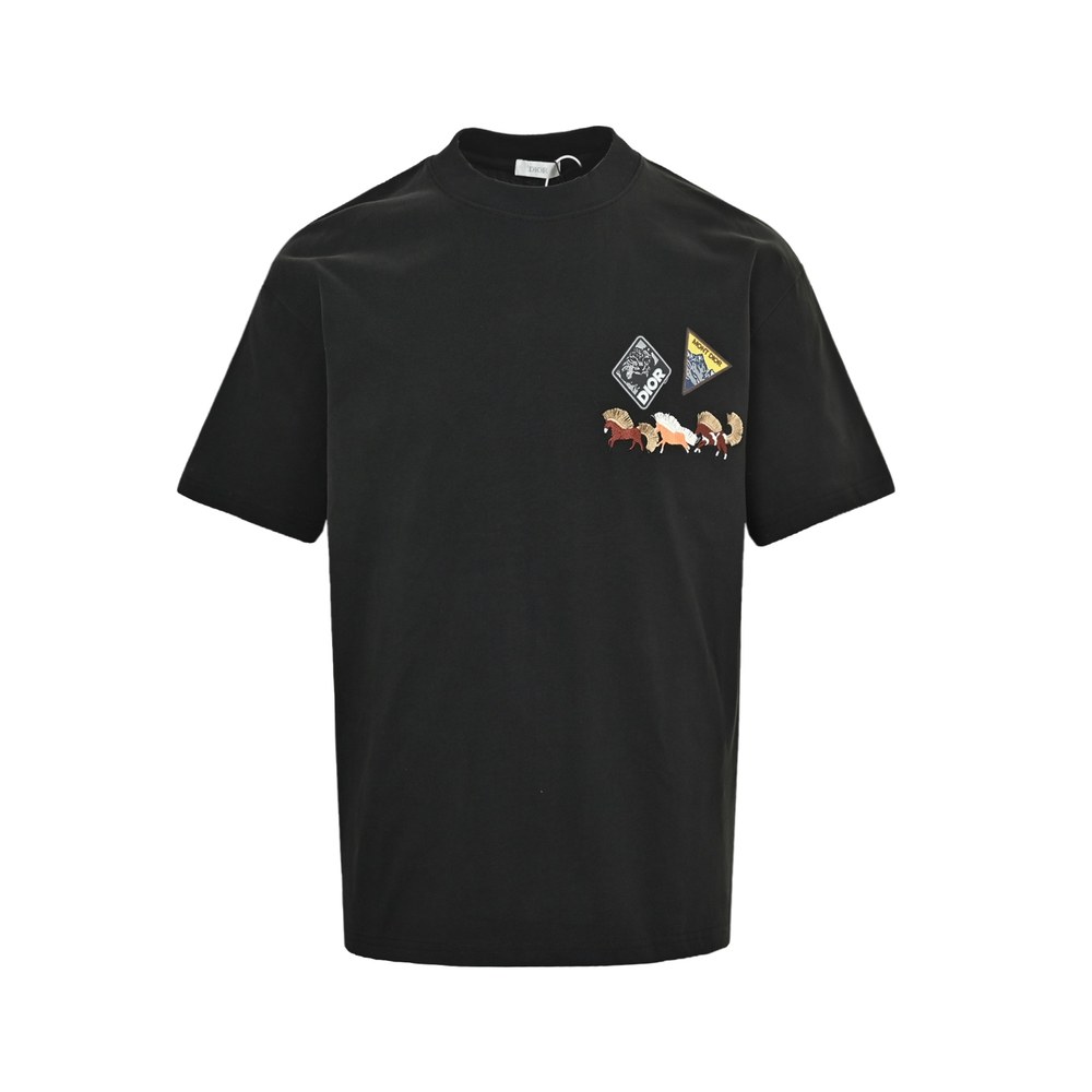 Dior T-shirts-330