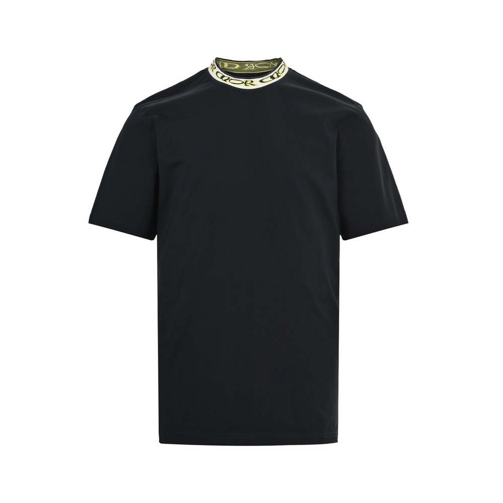 Dior T-shirts-318