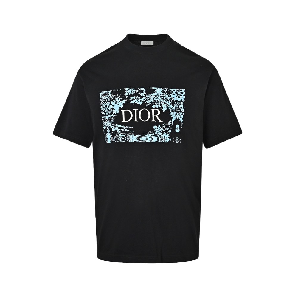 Dior T-shirts-421