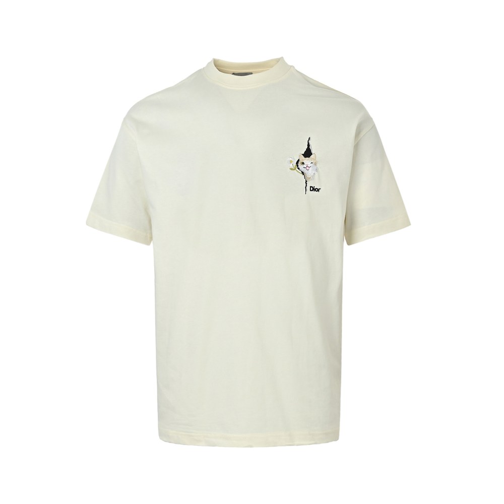 Dior T-shirts-493