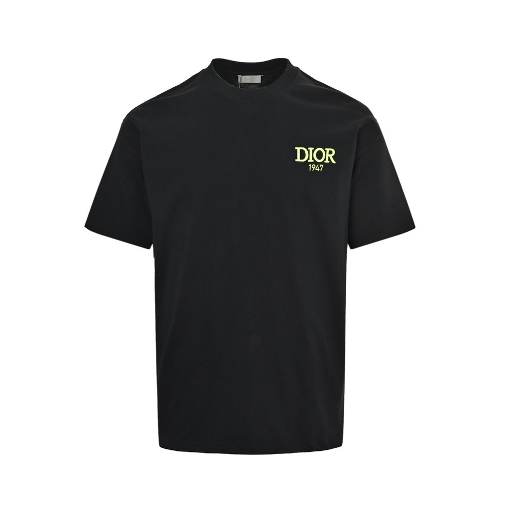 Dior T-shirts-348