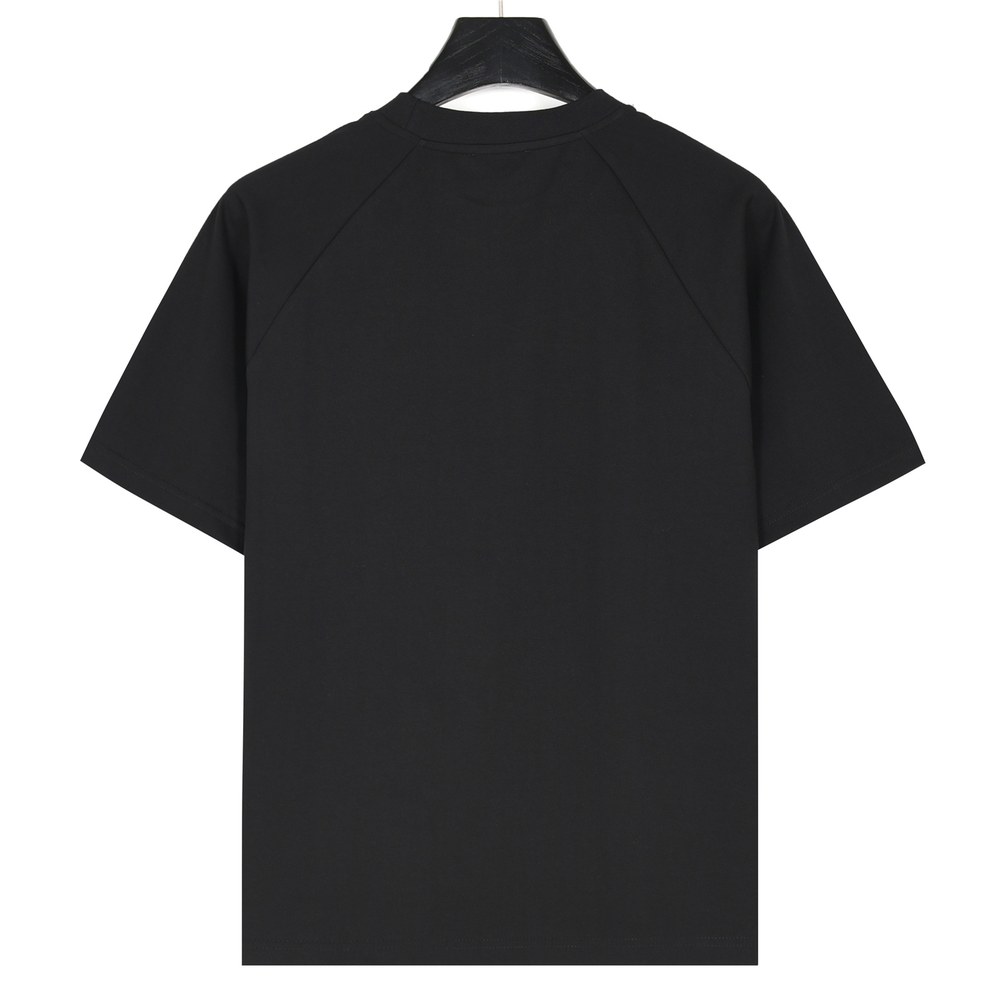 Dior T-shirts-477