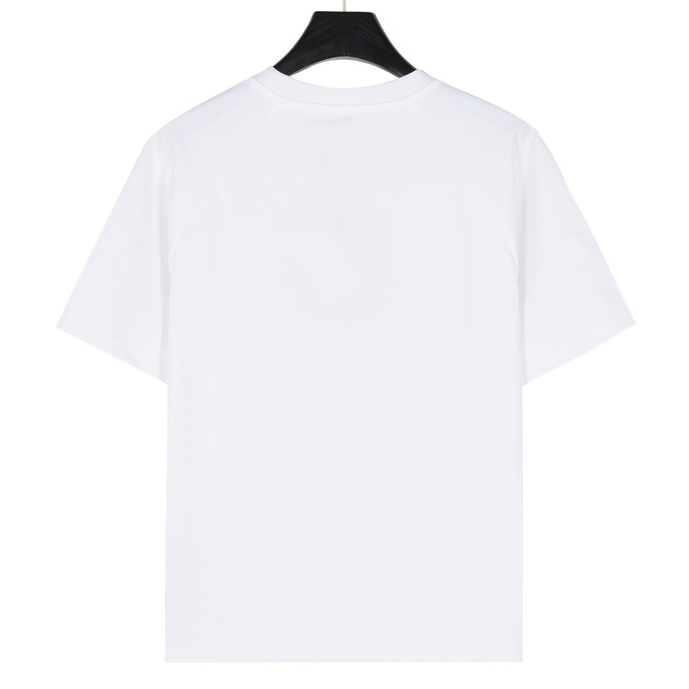 Dior T-shirts-476
