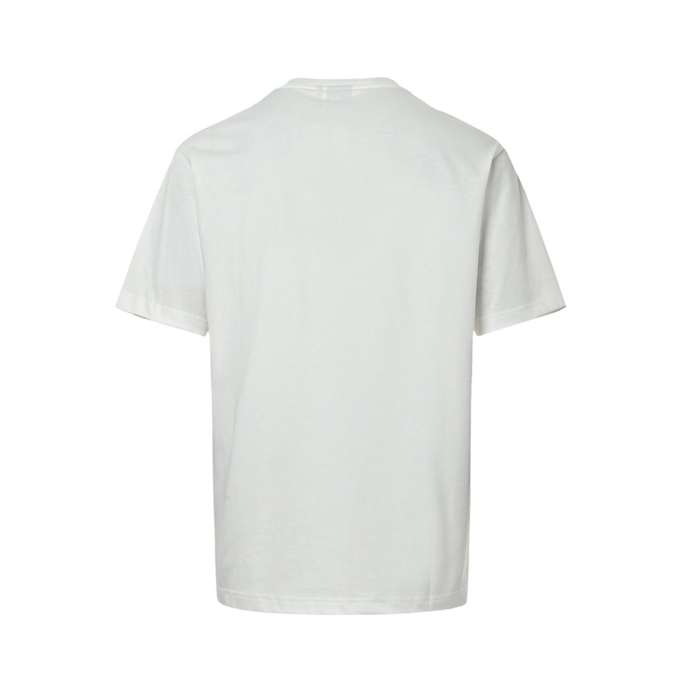 Dior T-shirts-329
