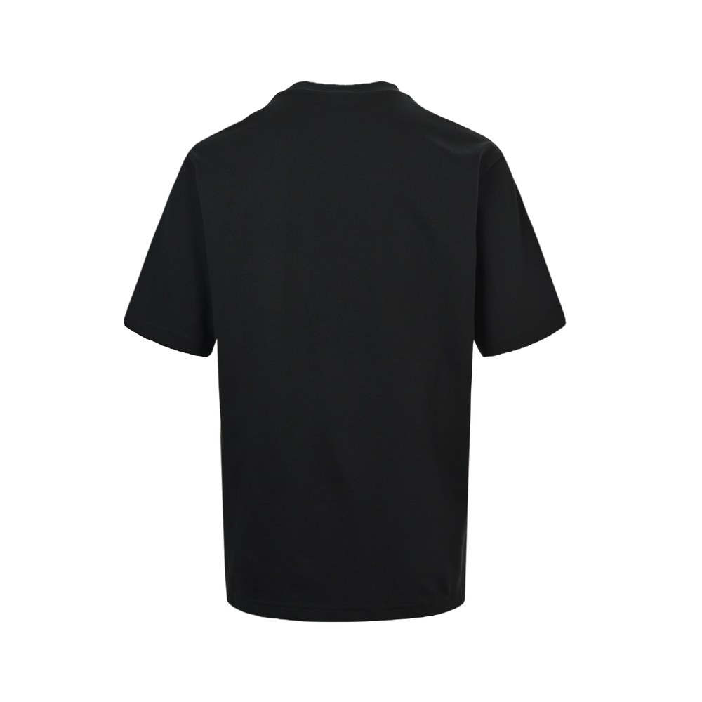 Dior T-shirts-403