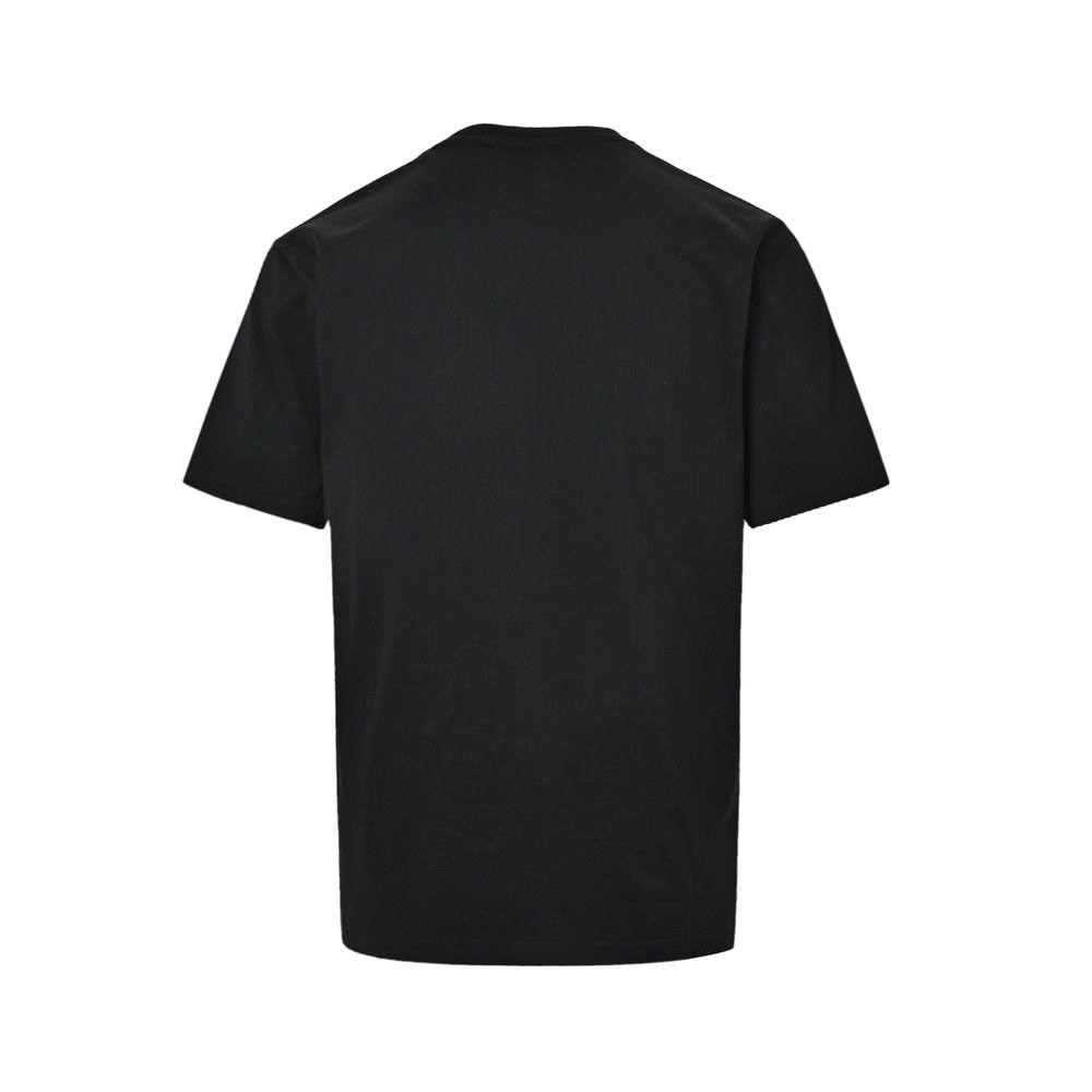 Dior T-shirts-297