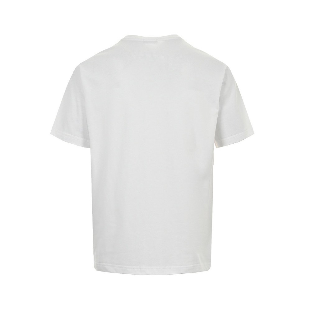 Dior T-shirts-307