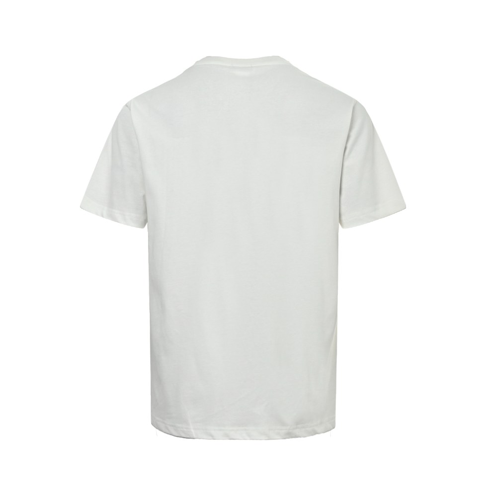 Dior T-shirts-299