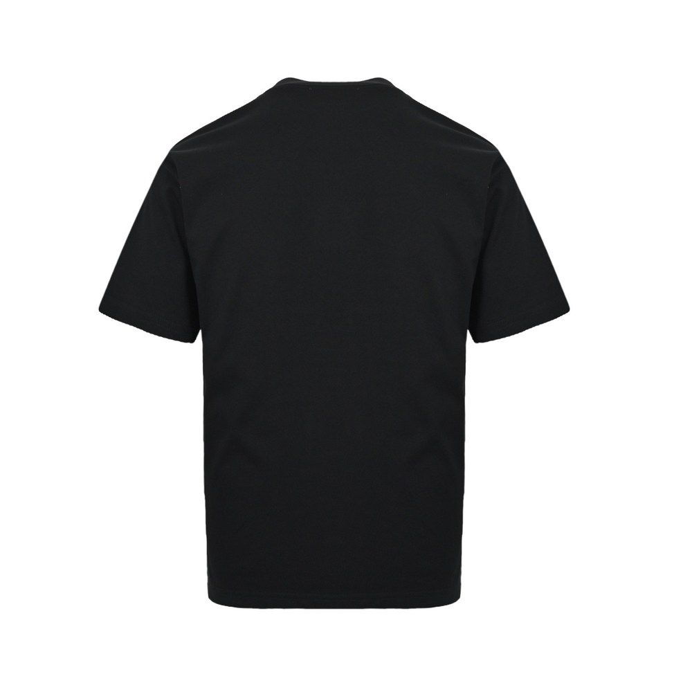 Dior T-shirts-344