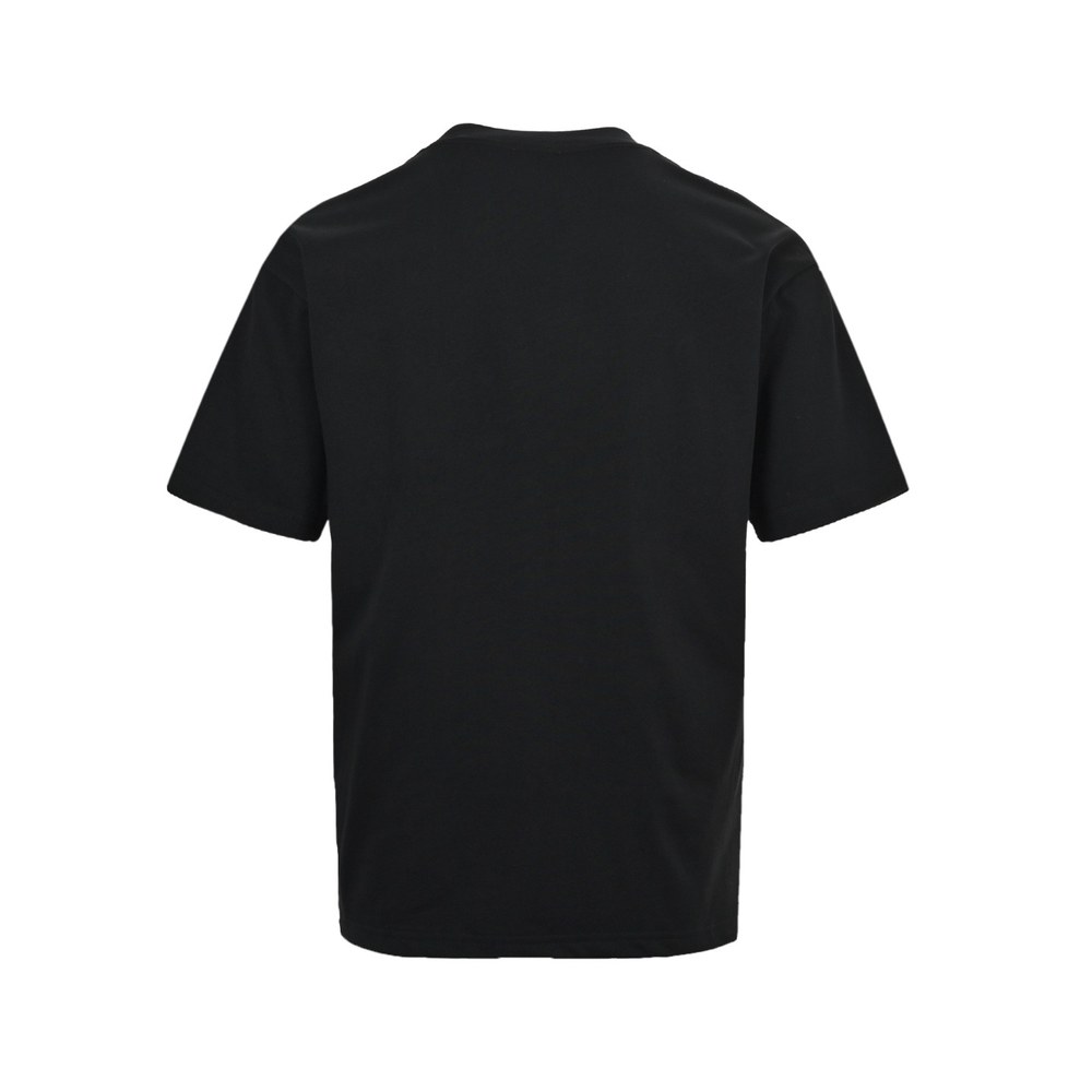 Dior T-shirts-334