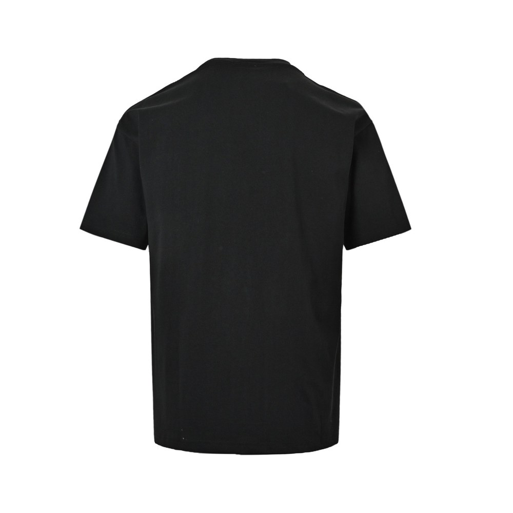 Dior T-shirts-433