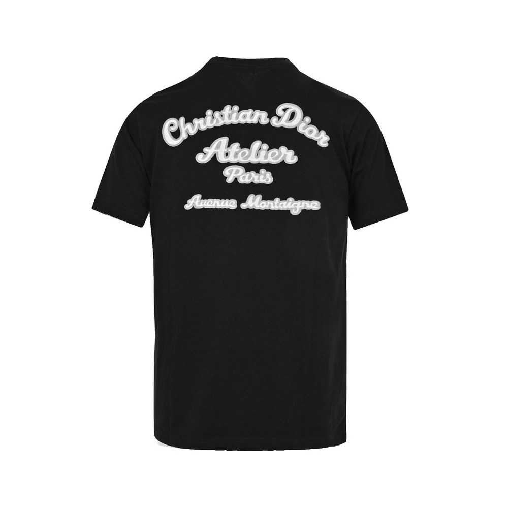 Dior T-shirts-301