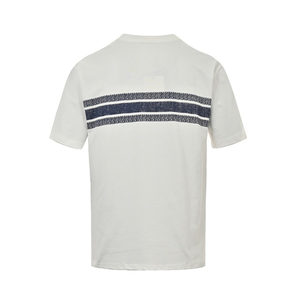 Dior T-shirts-303