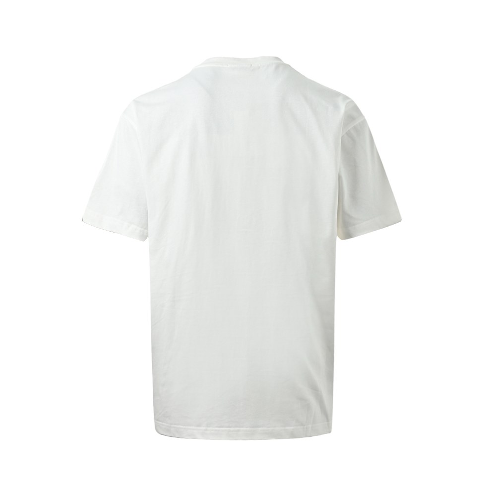Dior T-shirts-399