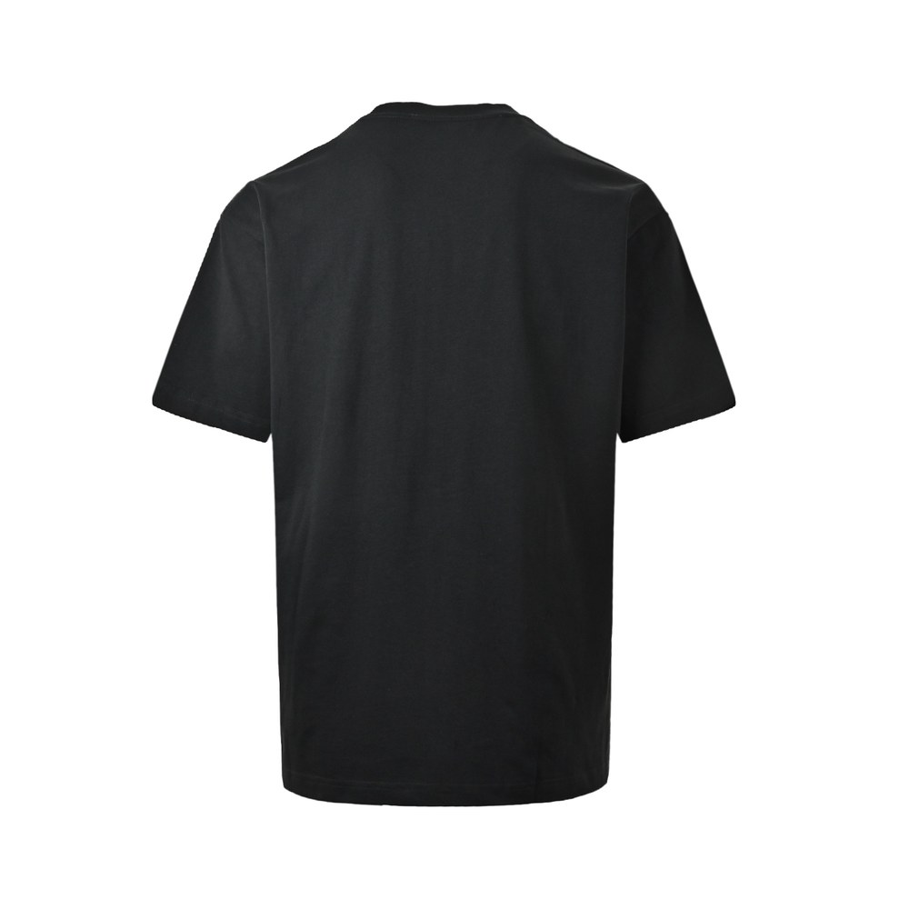 Dior T-shirts-398