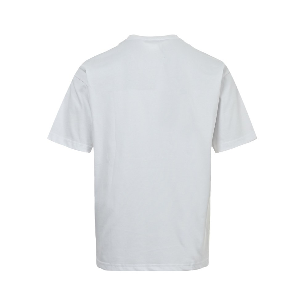 Dior T-shirts-345