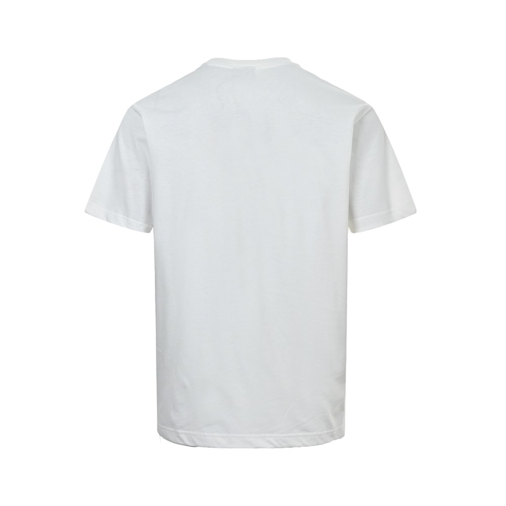 Dior T-shirts-431