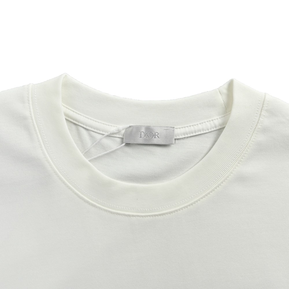 Dior T-shirts-404