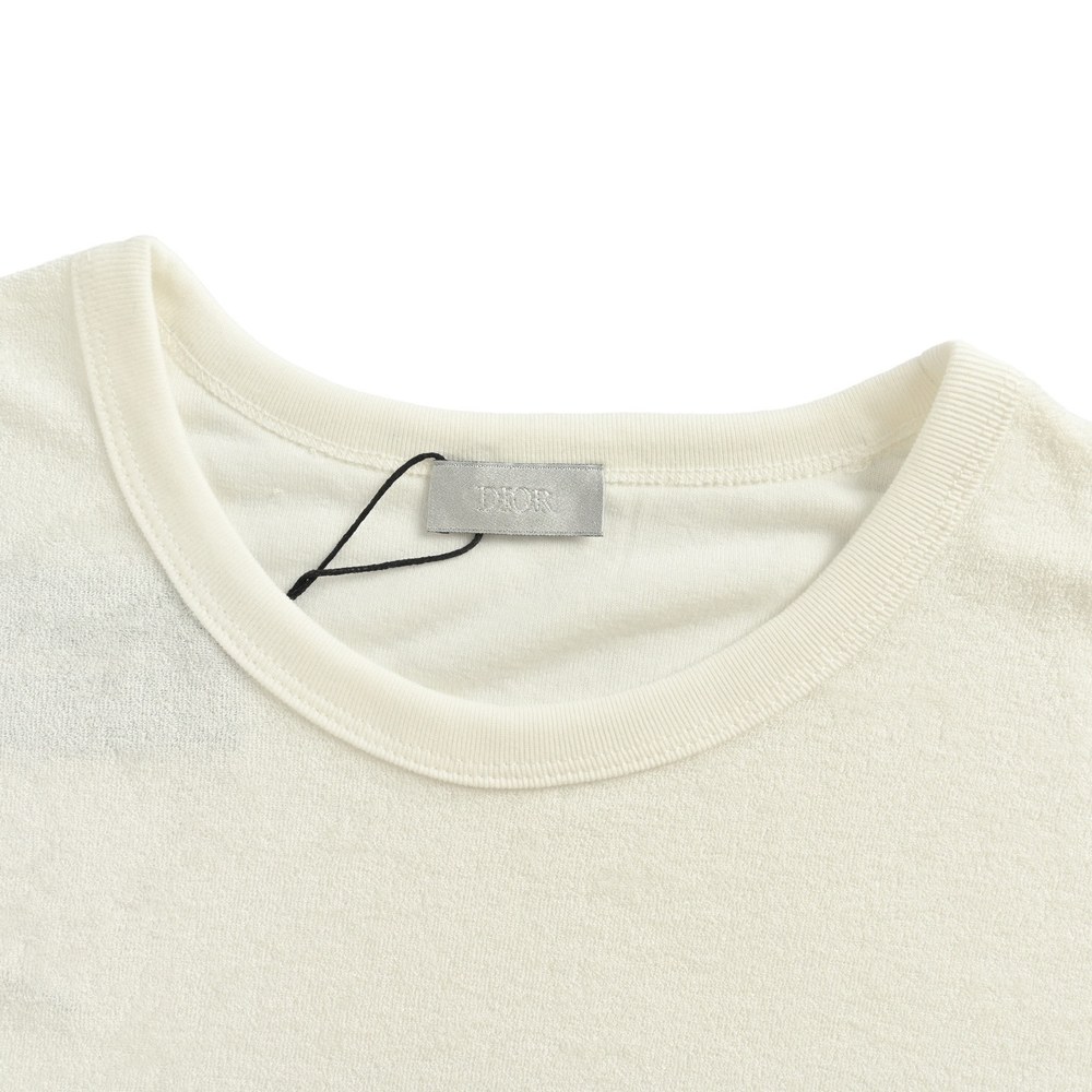 Dior T-shirts-315