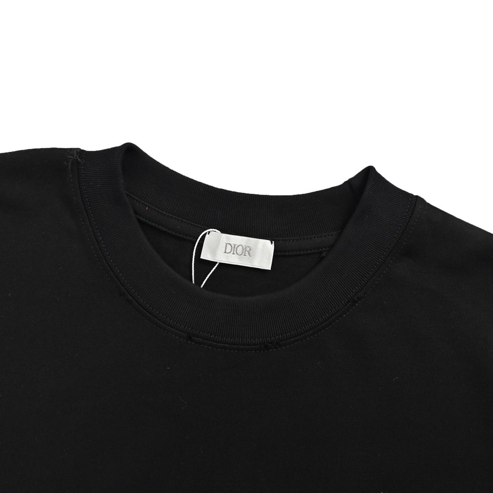 Dior T-shirts-443