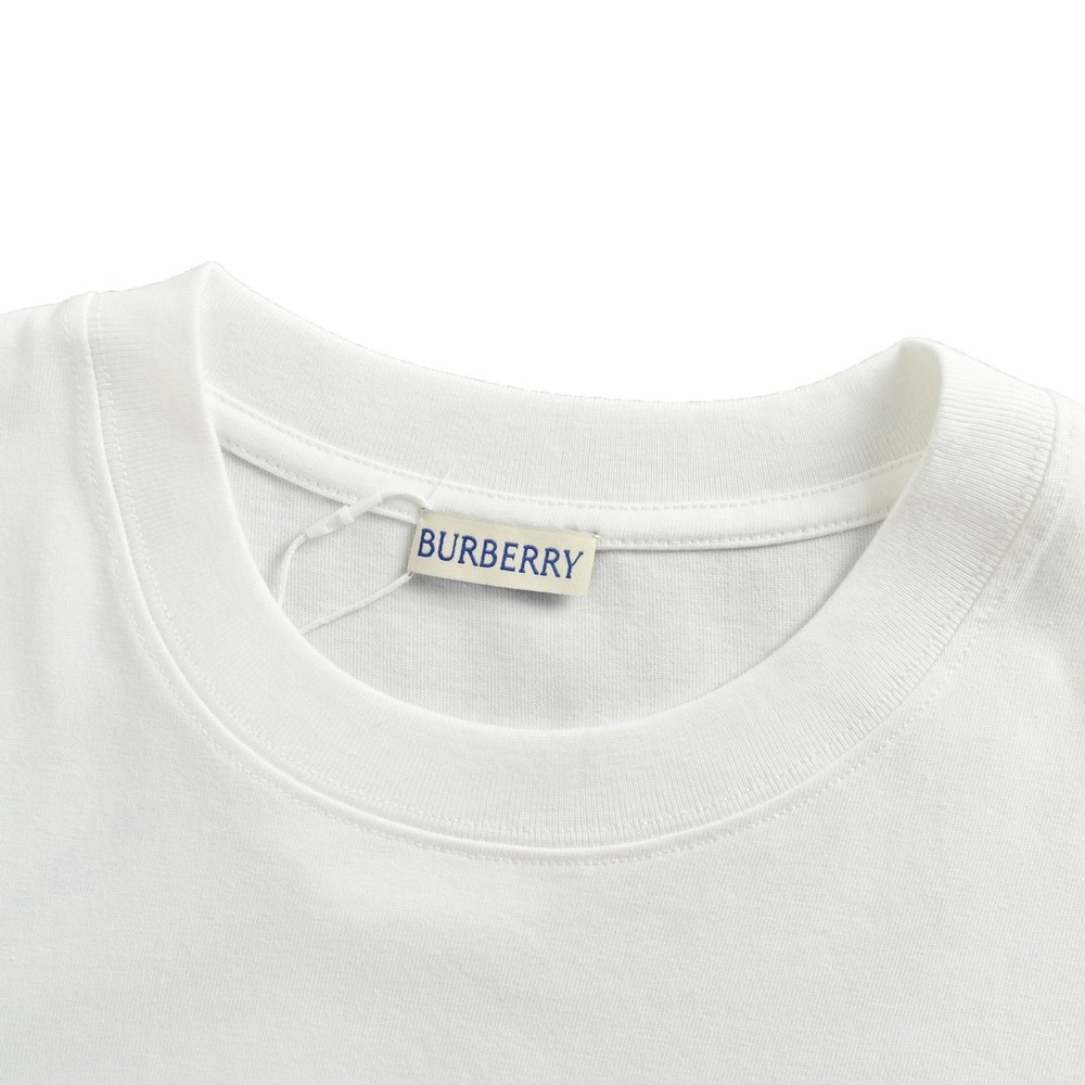 Burberry T-shirts-1289