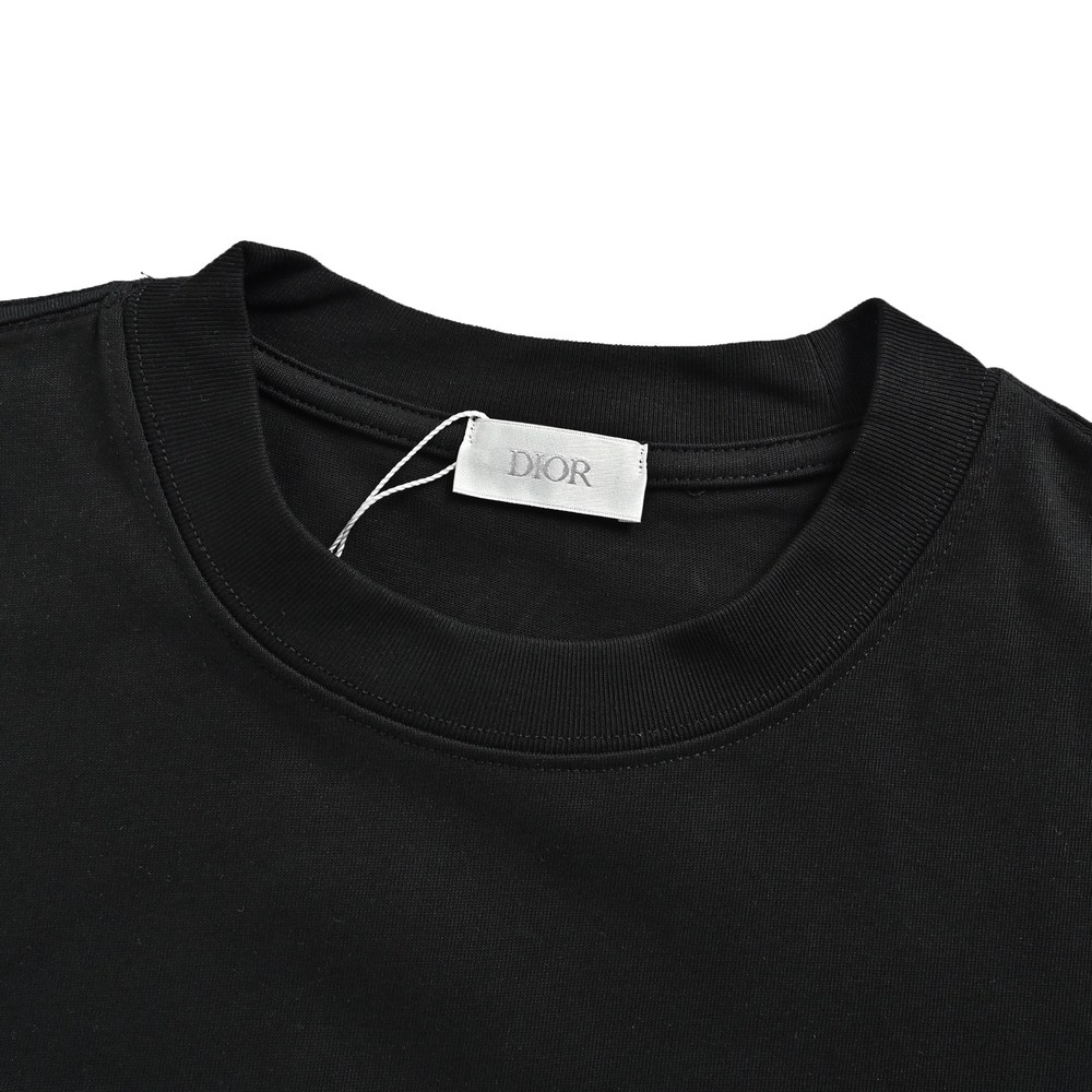Dior T-shirts-489