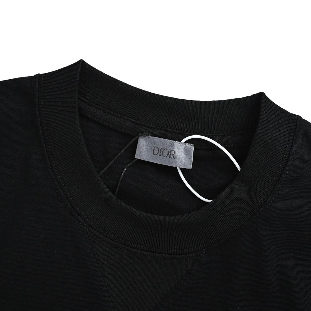 Dior T-shirts-411