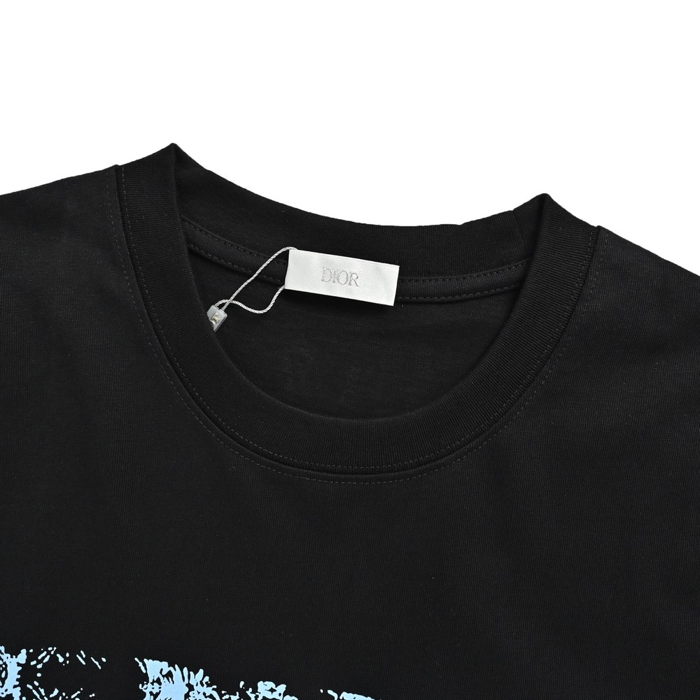 Dior T-shirts-421