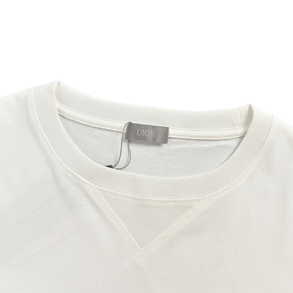 Dior T-shirts-299