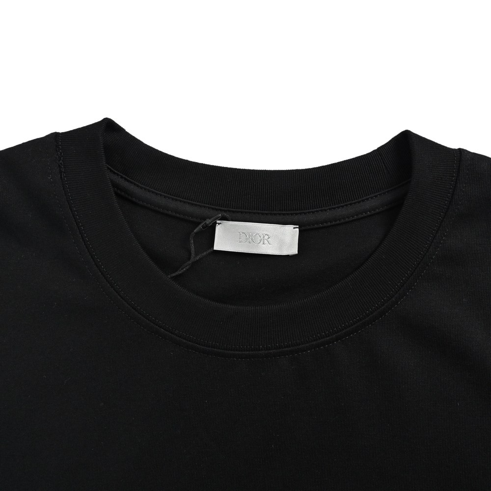 Dior T-shirts-392