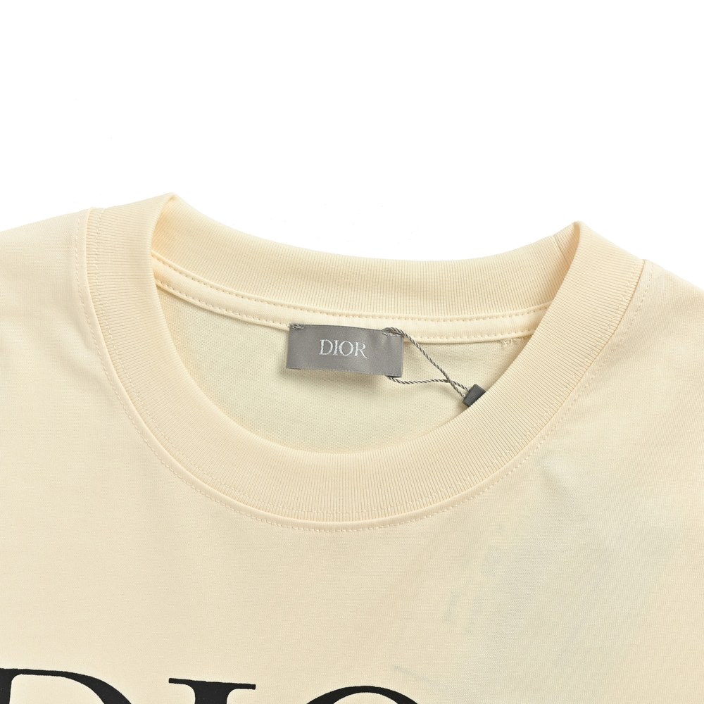 Dior T-shirts-355