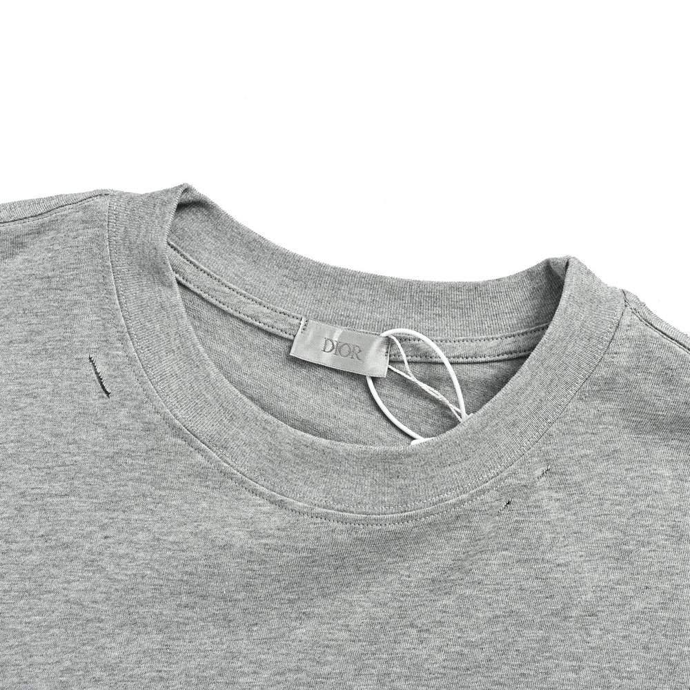 Dior T-shirts-435