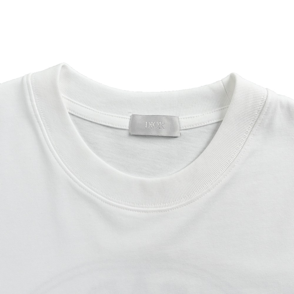 Dior T-shirts-456