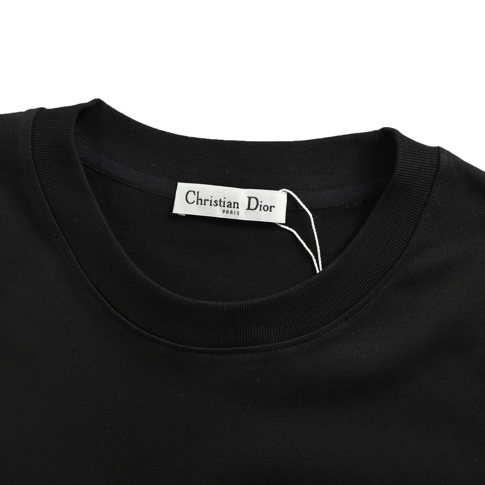 Dior T-shirts-316