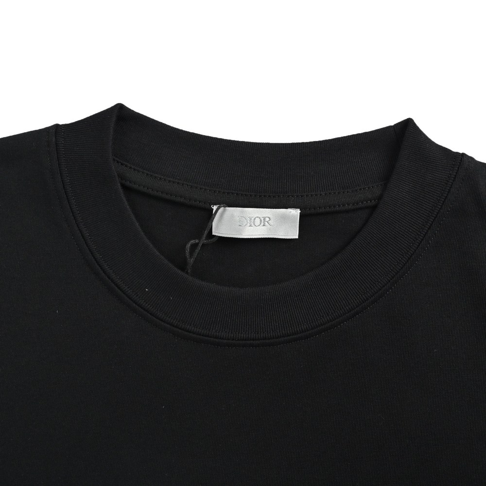 Dior T-shirts-344