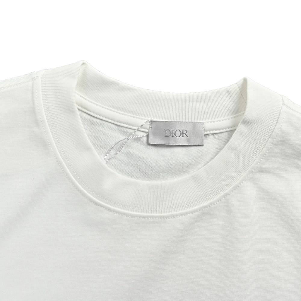 Dior T-shirts-488