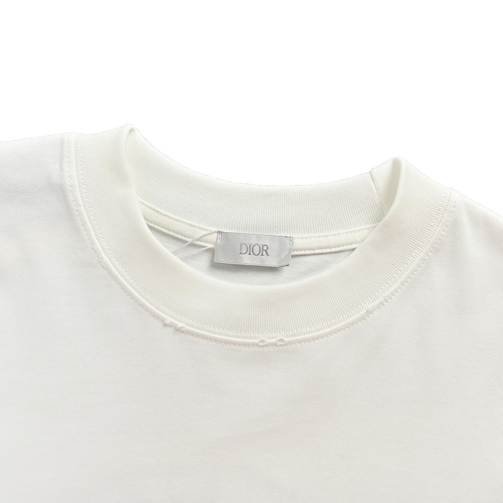 Dior T-shirts-444