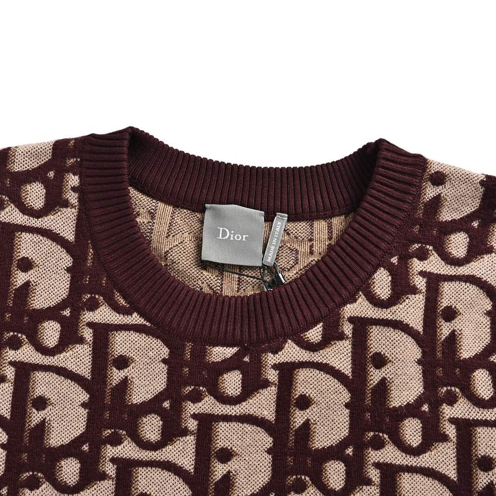 Dior Sweater-273